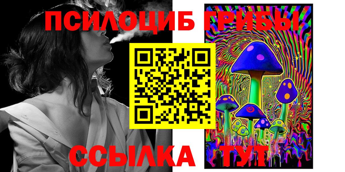 Галлюциногенные грибы Cubensis Шелехов